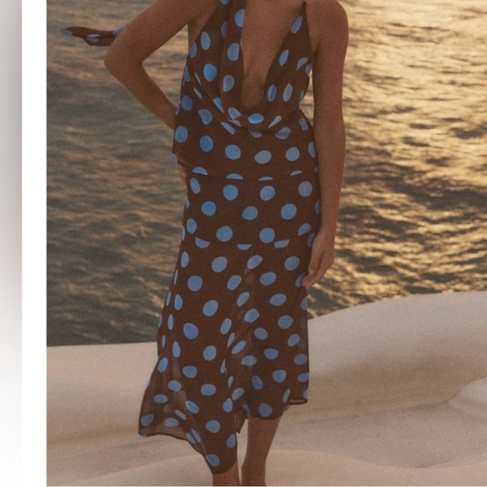 Zara Brown and Blue Polka Dot Midi Skirt